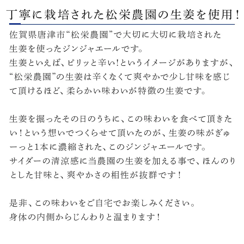 生姜濃縮 ジンジャエール 250ml×12本 生姜の味がギューッと1本に濃縮
