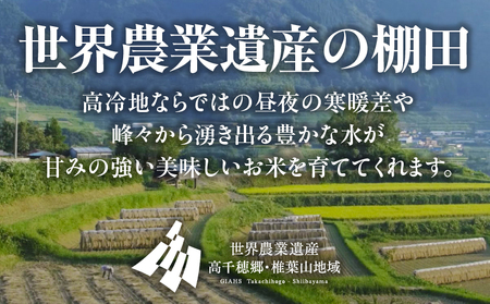 【令和7年産】JA高千穂地区 ひのひかり 20kg 高千穂産 20kg 5kg 4袋 食品 米 お米 白米 ごはん 白飯 精米 国産 宮崎県産  単一原料米 農作物 農産物 おすそ分け 普段使い 日常 炭水化物 主食 贈答 贈り物 ギフト プレゼント おすすめ 宮崎県 高千穂町 _Tk004-046