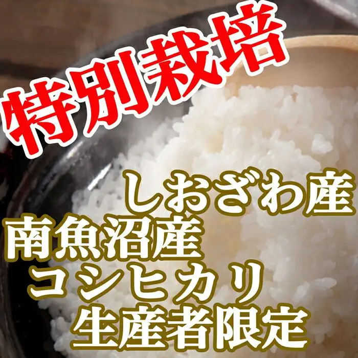 【令和7年産】【定期便：20Kg×12ヶ月】特別栽培 生産者限定 南魚沼しおざわ産コシヒカリ【定期便 銘柄米 ブランド米 精米 こしひかり コシヒカリ 魚沼産 新潟米 産地直送 お米 米 こめ コメ ご飯 御飯 ごはん】