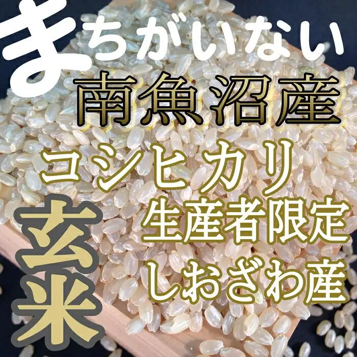 【令和7年産】玄米 生産者限定 南魚沼しおざわ産コシヒカリ5Kg【銘柄米 ブランド米 玄米 こしひかり コシヒカリ 魚沼産 新潟米 産地直送 お米 米 こめ コメ ご飯 御飯 ごはん】