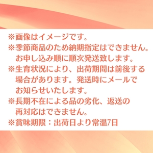 クインシー メロン（赤肉）約5kg 果物類 フルーツ メロン赤肉 