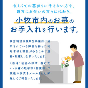 お墓のお掃除代行サービス（清掃・献花・合掌）[044B01]