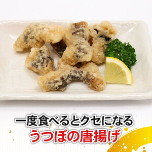 お酒のおつまみ珍味セット 酒の肴 珍味 酒 ちんみ 簡単調理 高知県室戸市 唐揚げ 魚介 惣菜 おかず