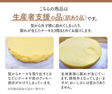 訳あり　名古屋コーチン卵のクリームチーズケーキ[020N05]