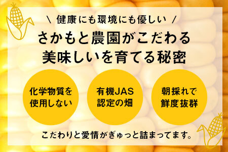 【2026年発送】朝採り有機栽培スイートコーン12本入【AV-004】