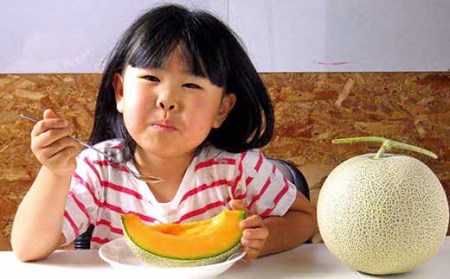 【2026年発送】【中富良野町】寺坂メロン　2玉入り（赤肉特大）【BF-002】