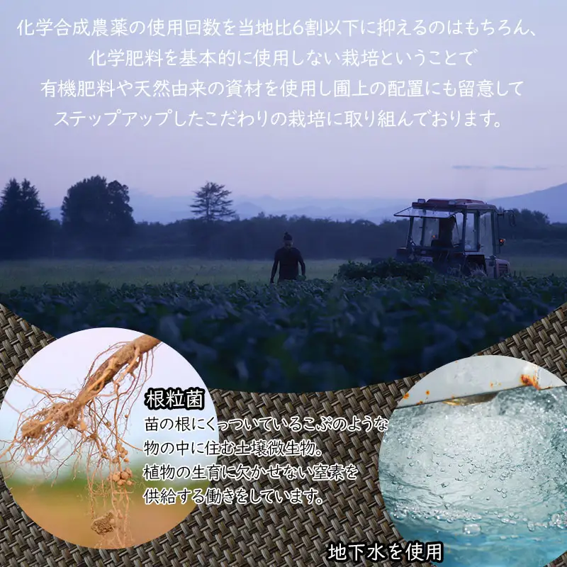 【令和8年産先行予約】殿やの特別栽培だだちゃ豆 2kg（500g×4袋）　枝豆　殿や鶴岡　K-845
