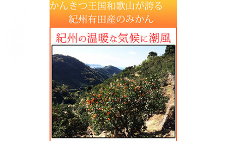 【先行予約】赤秀品　紀州有田産濃厚完熟温州みかん　３kg（ＭサイズまたはＳサイズ）