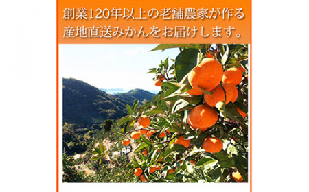 【先行予約】大玉サイズ　完熟有田みかん　１０kg