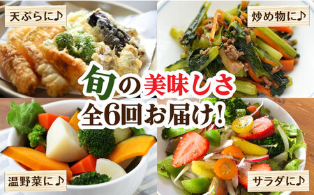 【6回定期便 偶数月コース】野菜 キノコ 果物 11品目 詰め合わせ  当日仕入れ当日発送！ / 野菜 定期便 / 吉岡青果 [SCZ006] 