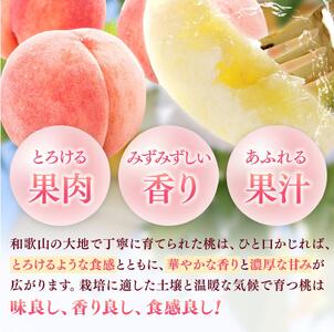 桃 秀品 和歌山の桃　約2kg  ※2026年6月下旬～順次発送 ※北海道・沖縄・離島配送不可【tec910B】