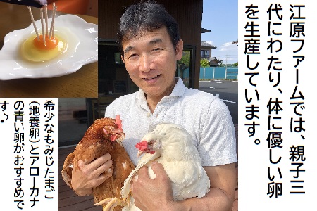 江原ファーム　地養卵＆アローカナハーフセット 計30個 割れ補償 |  卵 たまご タマゴ _AG07