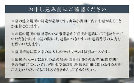 専門職人・故郷のお墓清掃＜ふるさと納税限定特別コース＞ お墓 清掃 職人 墓文字 墨入れ F6L-561