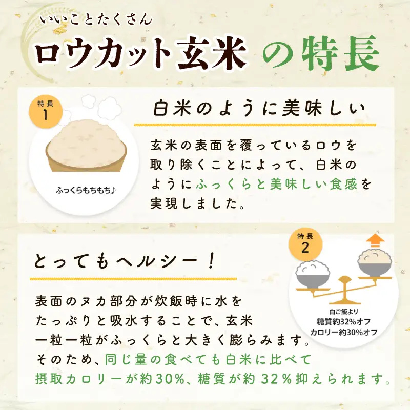 金芽ロウカット玄米 4kg【東洋ライス 2kg×2P】