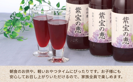 信州産 ぶどうジュース「紫宝の恵」 ストレート果汁100％ (1L×4本)|ぶどうジュース