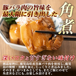 E0-002 ポムの樹オムライスと鹿児島県産黒豚特産品の詰め合わせセット(4種計11個)【富士食品】 霧島市 オムライス ポムオム 冷凍 カレー レトルトカレー ポークカレー レトルト食品 レトルト 熟成カレー とんこつ 豚バラ 角煮 豚角煮 おかず 小分け 豚肉 惣菜 温めるだけ
