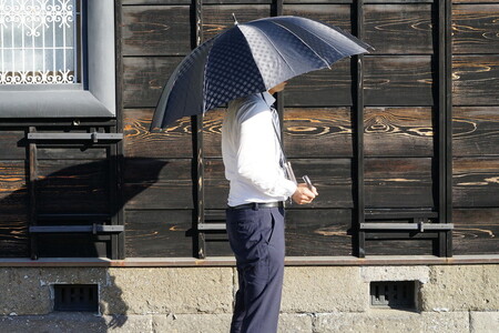 雪華模様のオリジナル傘（サイズ65cm）カラー：ブラック _BL09