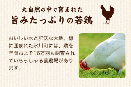 鶏肉 熊本県産若鶏 もも肉 4kg | 鶏肉 もも