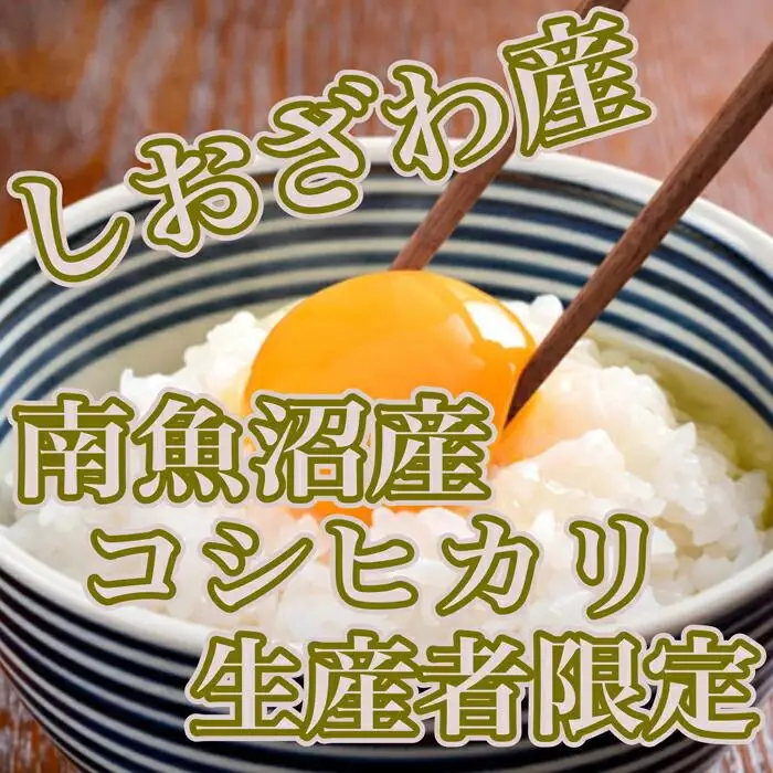 【令和7年産】【定期便／20kg×6ヶ月】生産者限定 契約栽培 南魚沼しおざわ産コシヒカリ【定期便 銘柄米 ブランド米 精米 こしひかり コシヒカリ 魚沼産 新潟米 産地直送 お米 米 こめ コメ ご飯 御飯 ごはん】