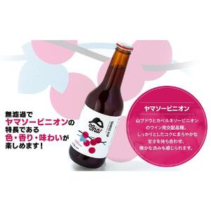 南信州地ビール『ヤマソーホップ』６本セット[ ビール ホップ ]