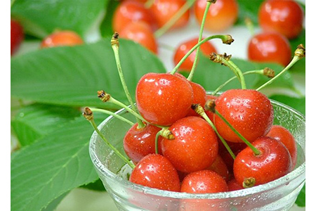 《先行予約 2026年度発送》 さくらんぼ 紅秀峰 大玉手詰め 秀品 2L 500g FSY-0141
