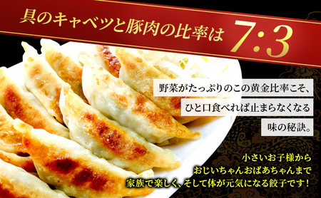 餃子 定期便 12ヶ月 花ぎょうざ 110個(22個入×5袋) 冷凍餃子 おかず 惣菜 定期 12回