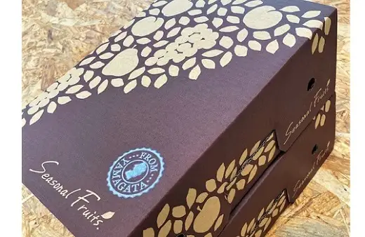 西洋梨（ラ・フランス）４ｋｇ（２ｋｇ×２箱）特秀品　0047-2612