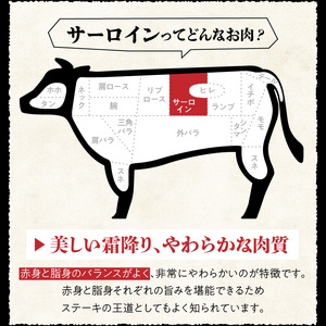 博多和牛 サーロインステーキ180g×5枚_博多和牛 サーロインステーキ 180g × 5枚 計 900g 肉 牛肉 国産 サーロイン 赤身 サシ バランスがいい キメ細やか 美しい とろけるような食感 ジューシー ステーキ 塩 わさび ステーキ丼 オススメ 冷凍 お取り寄せ 福岡県 久留米市 送料無料 〔Ab004〕