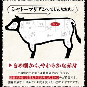 博多和牛 シャトーブリアン（ヒレ）ステーキ 120g×3枚_博多和牛 シャトーブリアン ヒレ ステーキ 120g × 3枚 計 360g 国産 和牛 国産牛 牛肉 希少部位 しっとり やわらか 赤身 あっさり ジューシー 脂身 少ない 塩 わさび アレンジ カツサンド 冷凍 お取り寄せ 福岡県 久留米市 送料無料 〔Ab005〕
