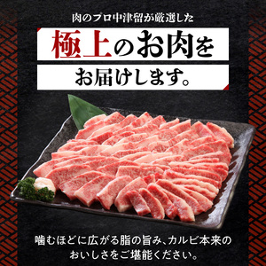 博多和牛 カルビ焼肉800g_博多 和牛 カルビ焼肉 バラ 800g 専門店 プロ厳選 カルビ やわらかい ジューシー コク 旨味 肉 牛肉 国産 お肉 焼肉 アレンジ カルビ丼 チンジャオロース バーベキュー アウトドア キャンプ 新鮮 切りたて 冷凍 お取り寄せ グルメ 福岡県 久留米市 送料無料 〔Ab010〕