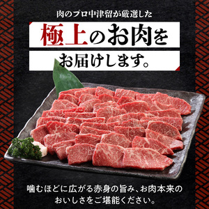 博多和牛 赤身焼肉800g_博多 和牛 赤身 焼肉用 モモ カタ 800g 厳選 新鮮 切りたて 冷凍 柔らか ジューシー 評判 衛生管理 鮮度管理 徹底 食品 使い方 いろいろ 肉 牛肉 国産 グルメ お取り寄せ お取り寄せグルメ 福岡県 久留米市 送料無料 〔Ab011〕