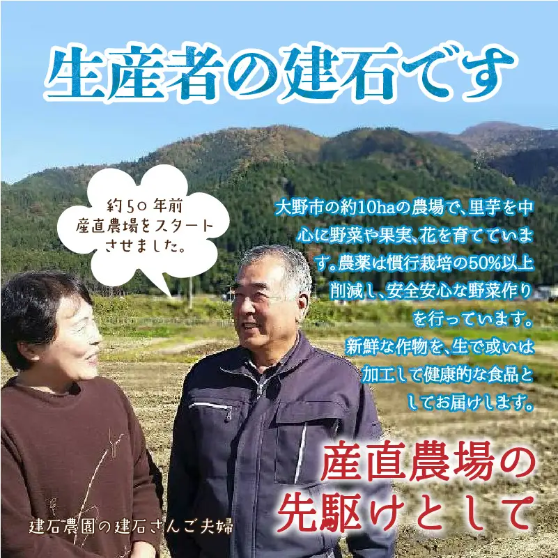 【先行予約】上庄里芋「麻奈姫」3kg「農家直送」【11月初旬頃から順次発送】