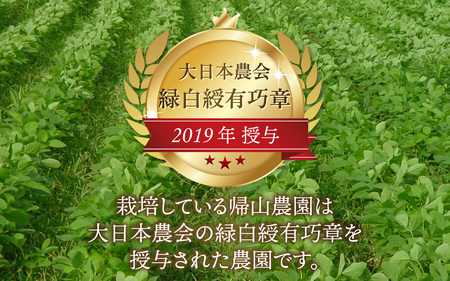 農家直送 豆好きのあなたに贈る農家直送　厳選大粒青大豆2kg  [A-001028]