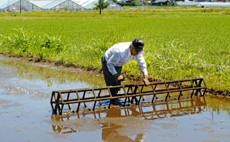 【令和7年産】ベストファーマー 自然栽培農家「四郎兵衛」の お米 姫ごのみ 5kg 玄米 無農薬 無肥料 無除草剤 による 自然栽培米 [B-030008]