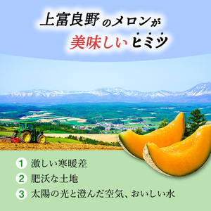 【令和8年産】北海道 上富良野 町産 「 ふらの メロン 」 大玉 秀品  1玉 約 2kg 以上 赤肉 メロン 産地直送 富良野 フルーツ 果物類 フルーツ メロン赤肉 