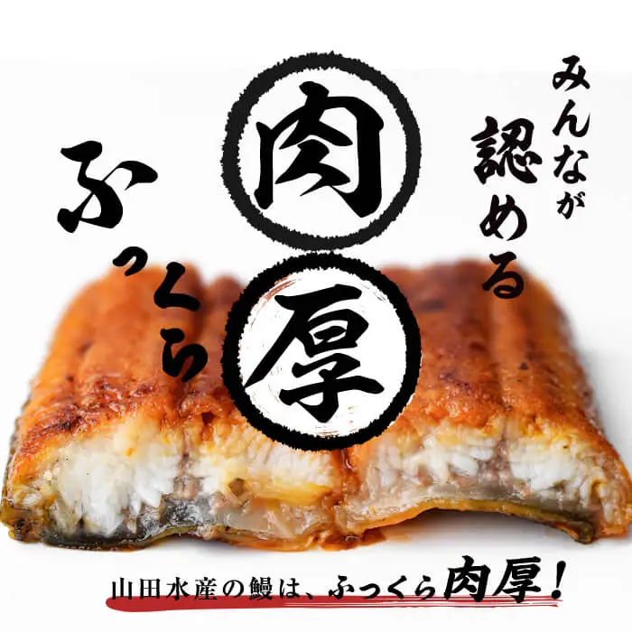 【丑の日までに配送】国産 うなぎ 蒲焼 4尾 霧島湧水鰻の蒲焼き 140g以上×4尾＜計560g以上＞ うなぎ 鰻 ウナギ 国産 九州産 蒲焼き 【志布志市人気No.1お礼の品】 a6-078-us