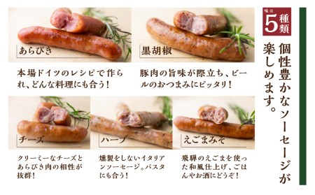 肉製品10点セット / 肉 製品 ソーセージ ハム ベーコン[Q503ch]
