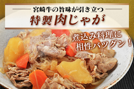 宮崎牛 赤身 モモ ウデ 切落し セット 計800g 牛肉 ビーフ 黒毛和牛 国産 ブランド牛 食品 もも うで 切り落とし 高級 贅沢 ご褒美 お祝い 記念日 人気 おすすめ カレー シチュー ハヤシライス 牛丼 おかず 冷凍 お取り寄せ グルメ 宮崎県 日南市 送料無料_DA46-25