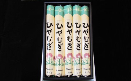 ひやむぎ5束（10人前）の定期便（6ヵ月連続） 麺類 冷麦 
