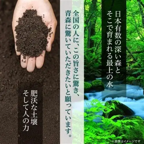 青天の霹靂 精米5kg_お米 米 白米 ご飯 コメ こめ 青森県 青森市 青森 人気 美味しい ふるさと_【1073772】