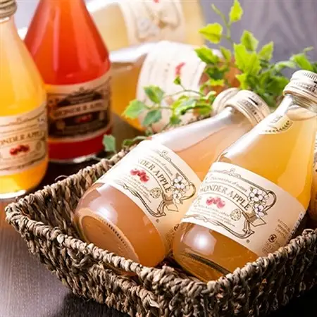 カルネ りんごジュース 12本セット_飲料・ドリンク りんごジュース 果汁飲料 林檎ジュース アップルジュース リンゴジュース_【1076429】