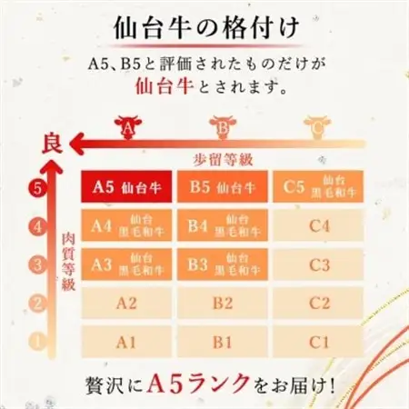 【A5仙台牛】サーロインステーキ 540g(270g×2枚)【配送不可地域：離島】【1206291】