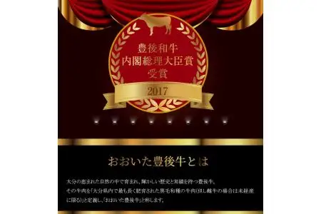 豊後黒毛和牛ステーキ・切り落し詰合せ約600ｇ A01039