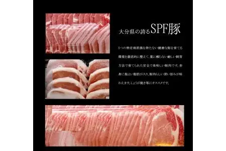 大分県産豚肉セット＋大葉胡椒 A02005