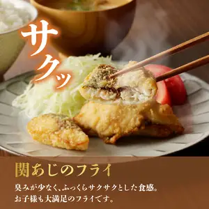 関の加工品セット E22019