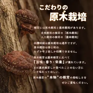 原木乾椎茸どんこ F07014