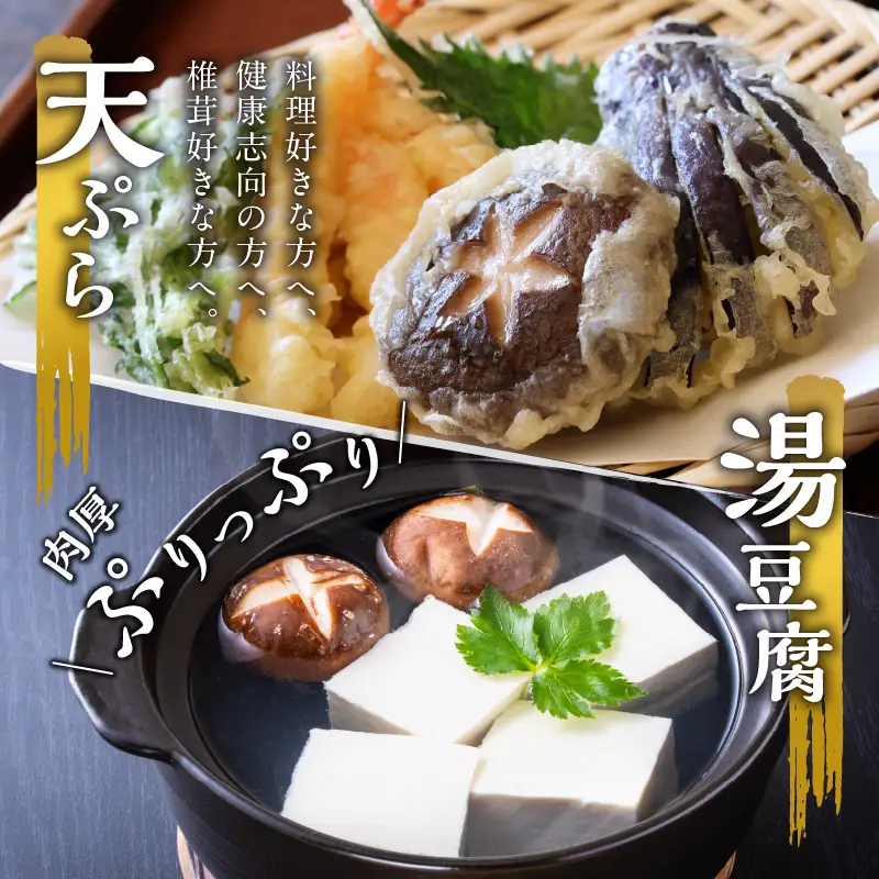 大分産乾しいたけ F07015