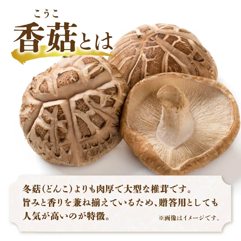大分県産椎茸　香菇　逸品　IP-A F07016