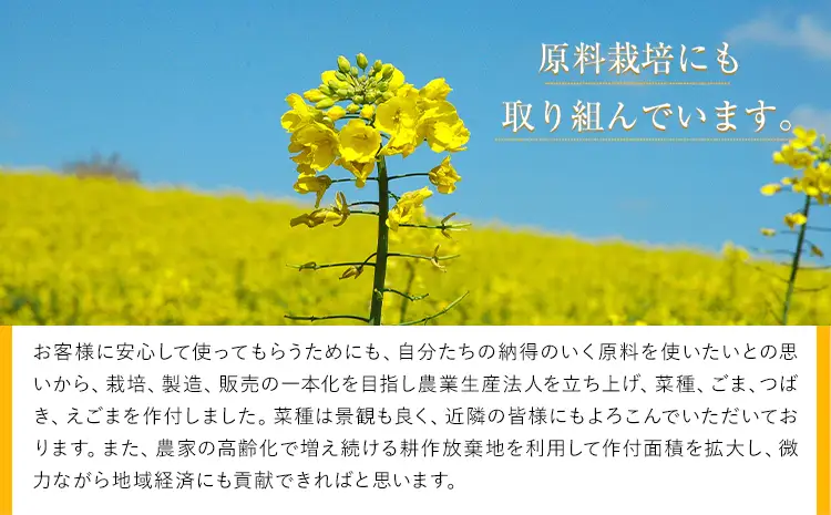 堀内製油 地あぶら (なたね油) 455g×6本 油