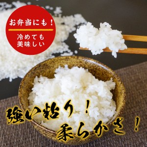 Y183 【令和8年産 新米】きぬむすめ15kg